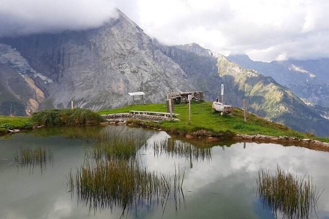 Heart of the Alps Private Hiking Tour from Lucerne - Pastures, cow bells, and Staefeli farm inn