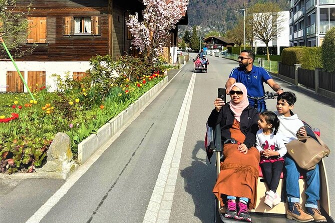 Hidden gems e-bike tour with picnic at Lake Brienz - Timing, transport, and practical planning