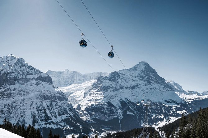 Interlaken and Grindelwald Day Trip from Lucerne - The shared Jungfraujoch arrangement