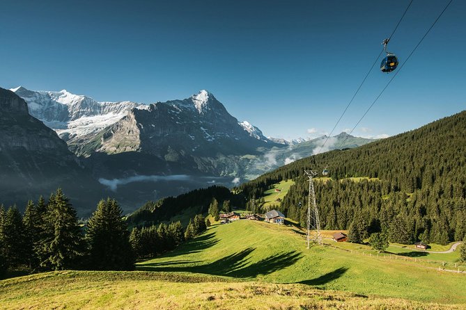 Interlaken and Grindelwald Day Trip from Lucerne - Price, timing, and practical value