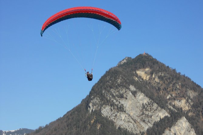 Interlaken Private Tour: Mountains Cows, Thun Lake, and Brienz Lake - Wilderswil adds cows, calves, and a real village setting
