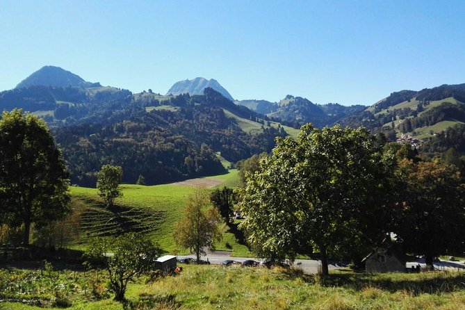 (KTL352) - Gruyeres Day Trip with Chocolate Factory from Lausanne - Guides, group size, and the pace of the day