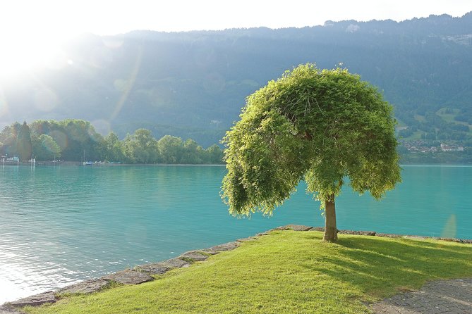 (KTL361) - Interlaken day trip by bus from Lausanne - The journey through Swiss Alpine scenery