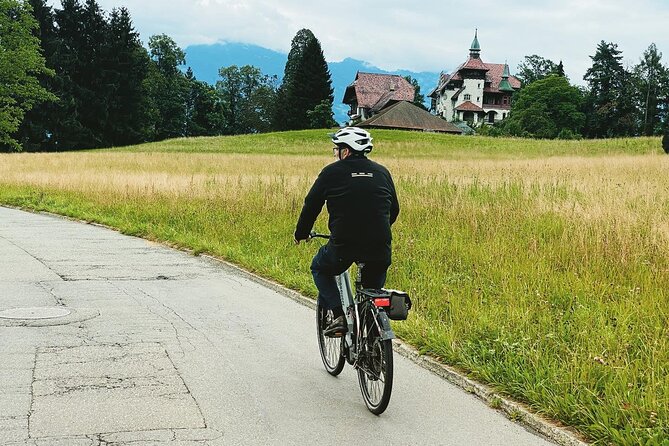 Lake Lucerne Peninsula e-Bike Tour - Alpine views without a full-day mountain trip