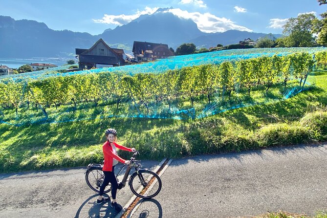 Lake Lucerne Peninsula e-Bike Tour - Who should book this Lucerne bike ride