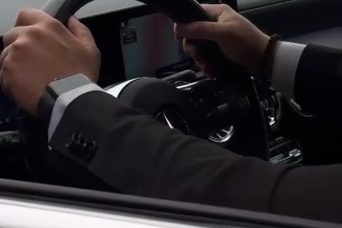 Lucerne to Zurich Airport Private Transfer (Local drivers) - Who should book this transfer