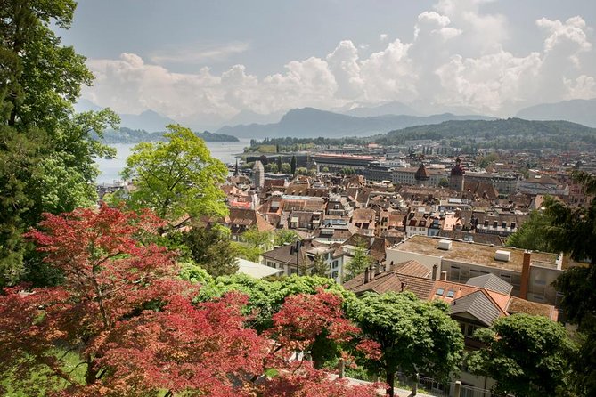 Lucerne Walking & Boat Tour: The Best Swiss Experience - Choosing the cheese and wine package