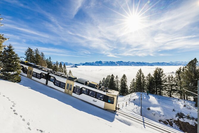 Mount Rigi Day Ticket - Choosing between Vitznau and Goldau