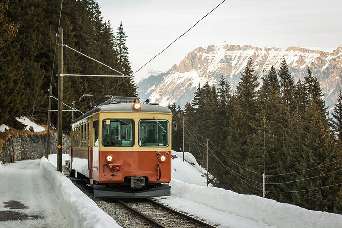 Mountain Majesty: Small Group Tour to Lauterbrunnen and Mürren - What the guide adds, and what the guide cannot add