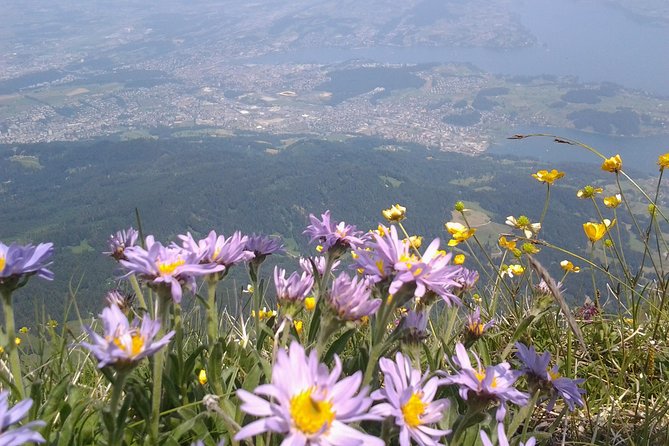 Mt. Pilatus Golden Roundtrip Private Day Trip from Basel - Lucerne, Chapel Bridge, and the trip home