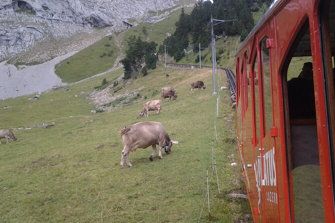 Mt. Pilatus Golden Roundtrip Small Group Day Trip from Basel - Kriens and the final local bus connection