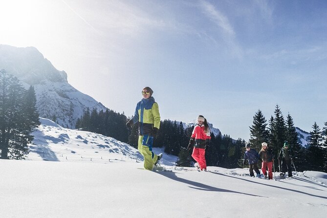 Mt. Pilatus Gondola and Aerial Cableway Ticket from Kriens - Starting at Kriens, the practical gateway to Pilatus