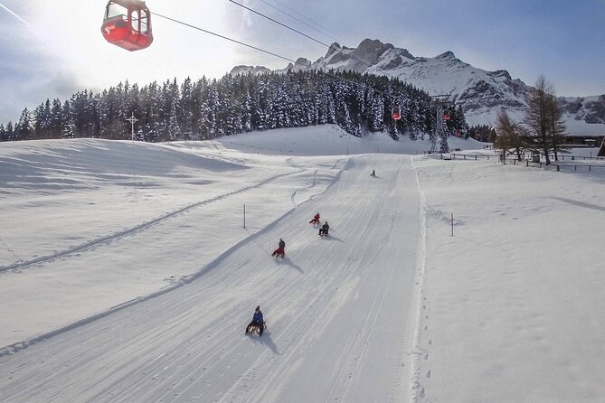 Mt. Pilatus Gondola and Aerial Cableway Ticket from Kriens - Who will enjoy this mountain outing most