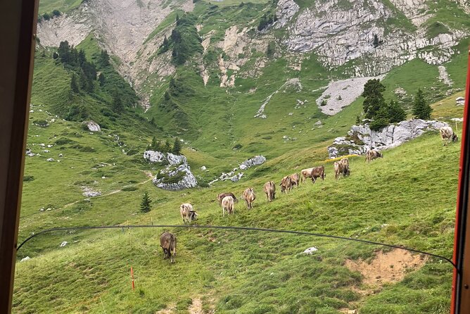 Mt. Pilatus with Lake of Lucerne Cruise Private Tour from Lucerne - Lake Lucerne from the first-class deck