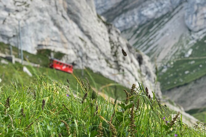 Mt. Pilatus with Lake of Lucerne Cruise Private Tour from Lucerne - Weather, cancellations, and the one serious concern