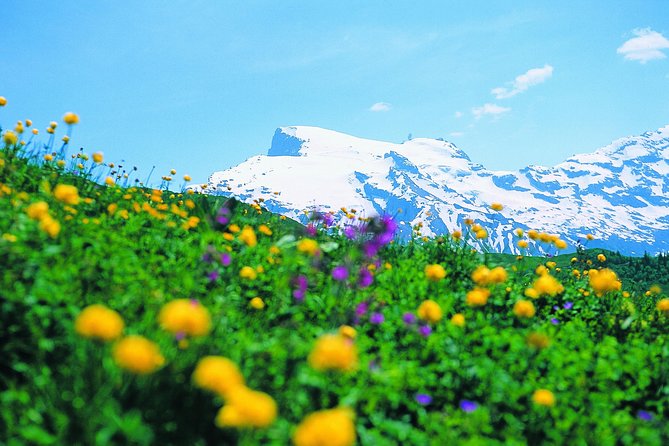Mt Titlis Glacier Paradise Tour from Zurich With Lucerne - From Zurich to Engelberg by deluxe coach