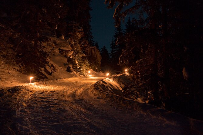 Night Sledding from Interlaken - What the one-hour descent feels like