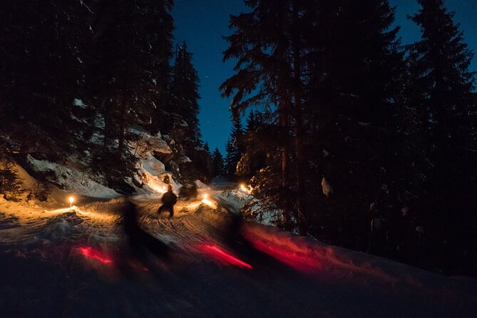 Night Sledding with Fondue - A four-hour winter evening from Wilderswil