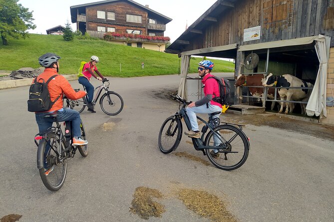Panoramic E-Bike Tour with a Lake Cruise - What $729.65 really buys you