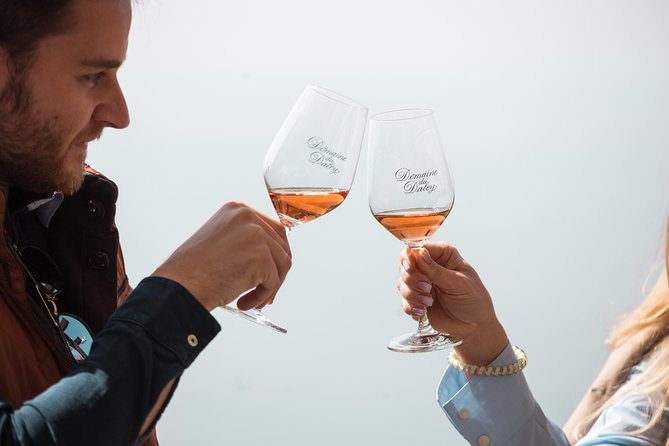Panoramic Wine Tour From Lausanne - Is $1,976.95 good value for eight people?