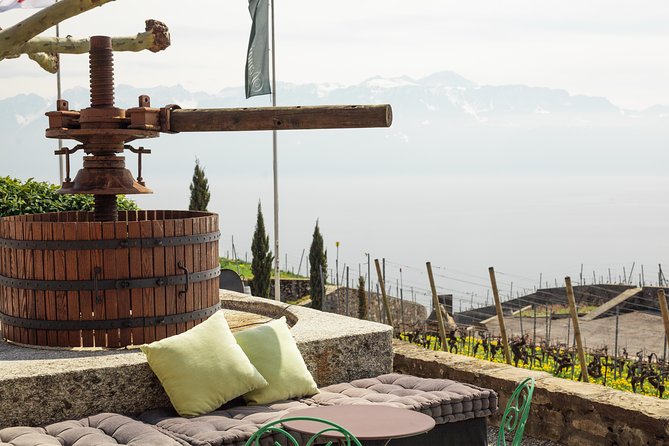 Panoramic Wine Tour From Lausanne - Who will enjoy this Swiss wine tour most
