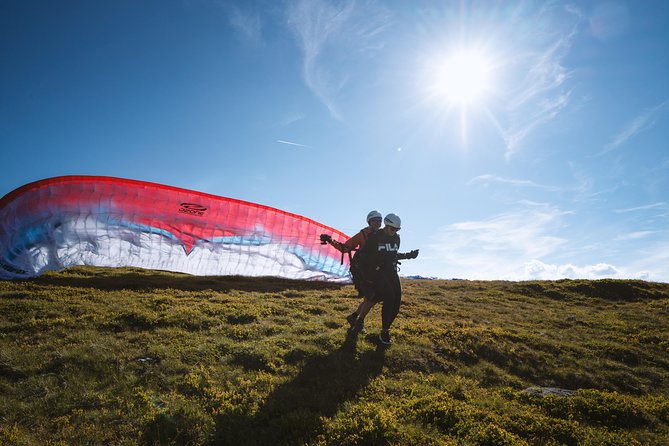Paragliding Davos Early Bird (Video & Photos Included) - Key points to know before you book
