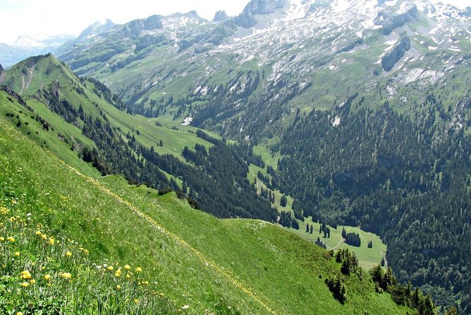 Peak to Peak Private Hiking Tour from Lucerne - The chairlift and return journey complete the loop