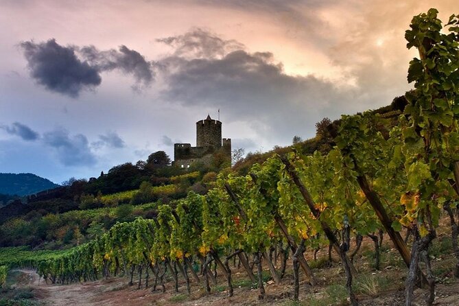 Pinot Noir & Pinot Wine Tour to Baden-Württemberg - Vogtsburg and the volcanic hills of Kaiserstuhl