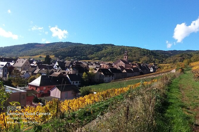 Pinot Noir & Pinot Wine Tour to Baden-Württemberg - Lunch in Ihringen, at your own cost
