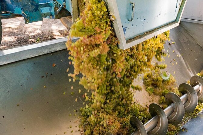 Pinot Noir & Pinot Wine Tour to Baden-Württemberg - Bad Krozingen and the family winery