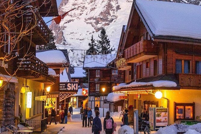 Private Luxury Tour of Switzerland - What the private vehicle changes