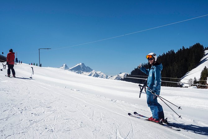Private Ski Instructor from Lucerne including Transport - Transport by bus and train, not a private car