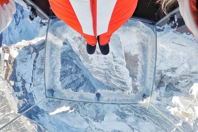 Private Tour to Chamonix Mont-Blanc Scenic Glass-Roof Bus - Who should book this Chamonix day trip?
