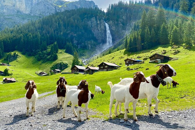 Private tour to the most breathtaking insider spots in Switzerland (1 day) - Altdorf, Wilhelm Tell, and the canton of Uri