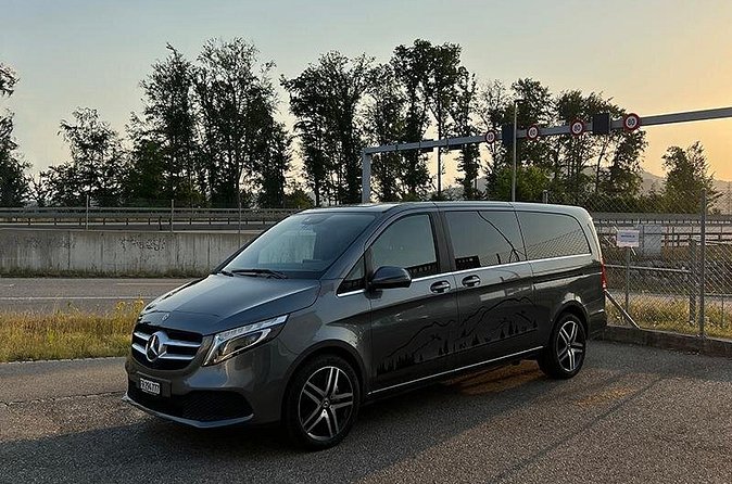 Private Transfer Service from Basel to Basel Airport - Who will get the most from this transfer?