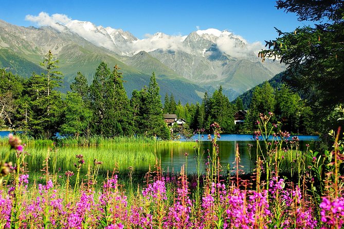 Private Trip from Geneva to Swiss Riviera Montreux & Chamonix - Montreux between lake, vineyards, and peaks