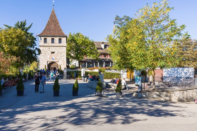 Rhine Falls Coach Tour incl. entry tickets from Zurich - Is $66.04 a fair price?