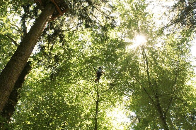Ropes Park Interlaken - Key points to know before you go
