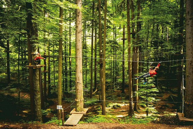 Ropes Park Interlaken - What the height rules mean for families