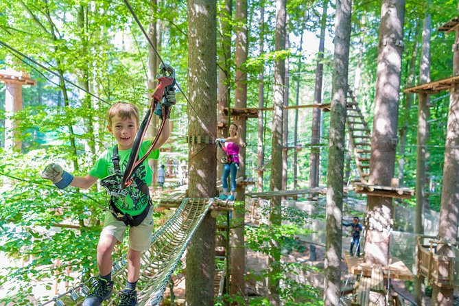 Ropes Park Interlaken - Nine courses, from low ropes to 23 meters