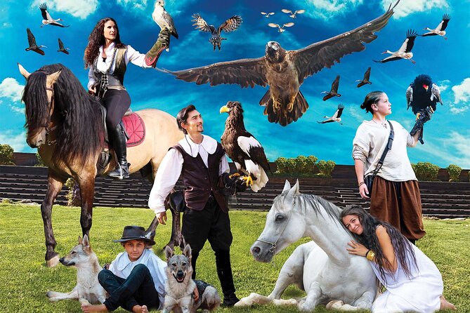Skip the Line: Falconeria Locarno Ticket - The flight show is the real reason to come