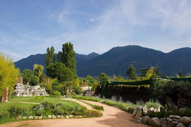 Skip the Line: Falconeria Locarno Ticket - Who will enjoy Falconeria Locarno most?