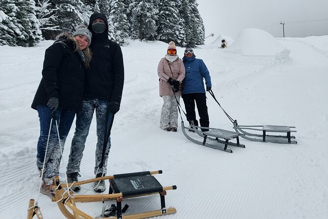 Sledding Cheese Fondue, Chocolate - The 1.5-hour route toward Holenstein