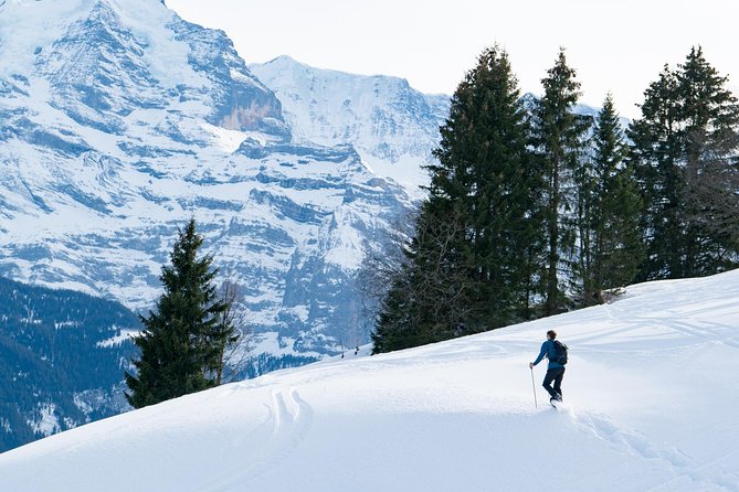 Snowshoe Adventure in the Swiss Alps - Key points before you book