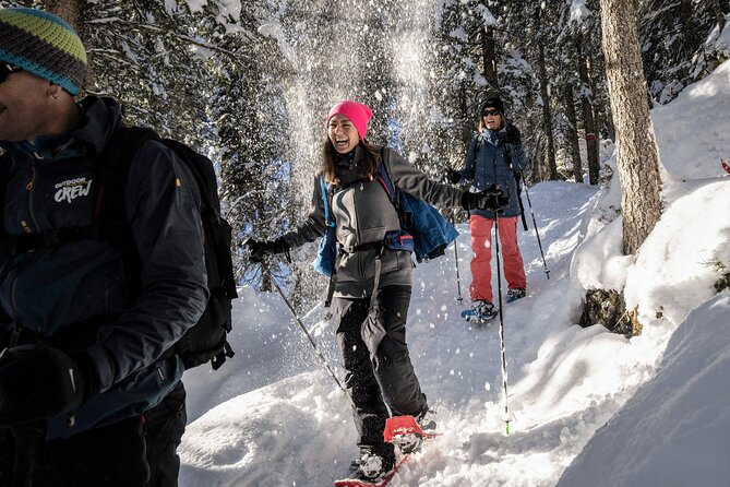 Snowshoe Adventure in the Swiss Alps - A short walk with a real alpine feel