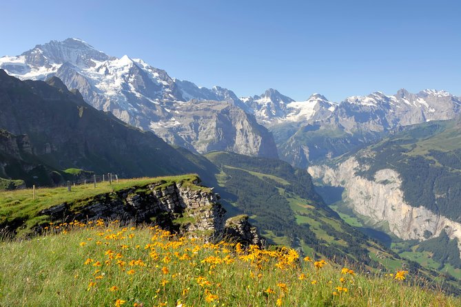 Swiss Alps: Interlaken and Grindelwald Day Trip from Zurich - What the $130.45 price really buys