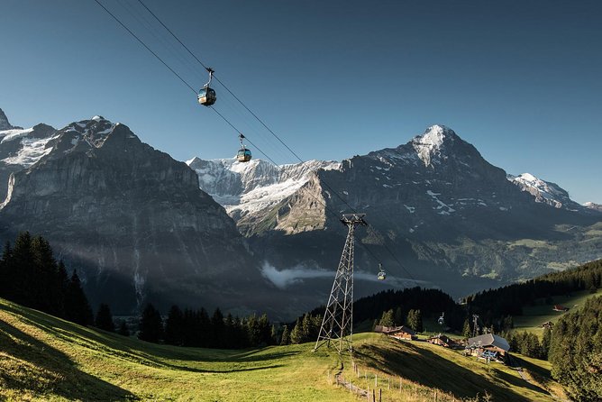 Swiss Alps: Interlaken and Grindelwald Day Trip from Zurich - Who should book this day trip?