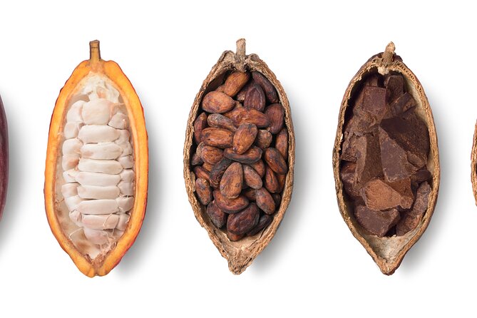Swiss Chocolate Tasting Experience | Basel - Artisan chocolate made in small batches
