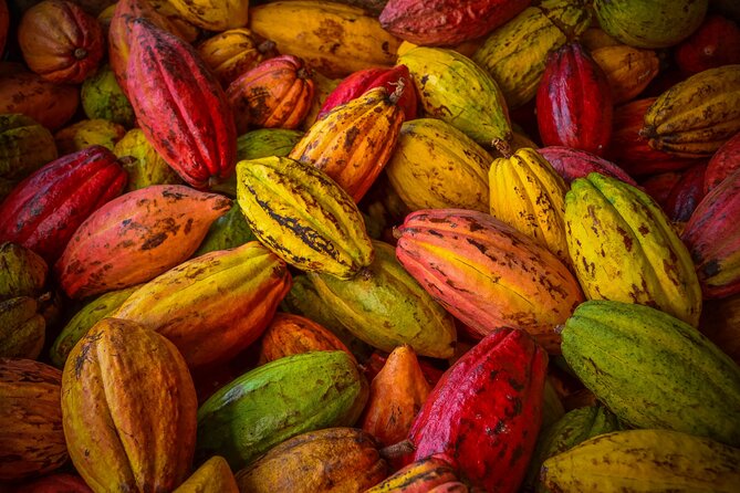 Swiss Chocolate Tasting Experience | Basel - What the host adds to the experience