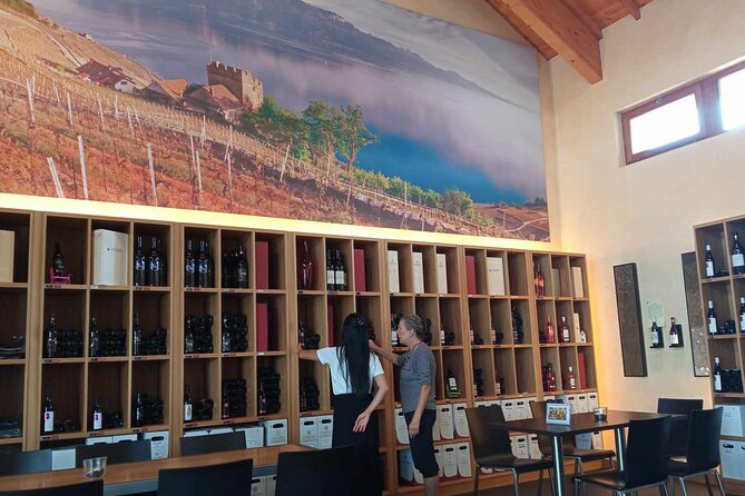 Swiss Vineyard Wine Tasting Tour in Vaud - Is $267.79 a fair price?